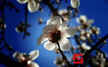 北京春季团建好去处？推荐9个适