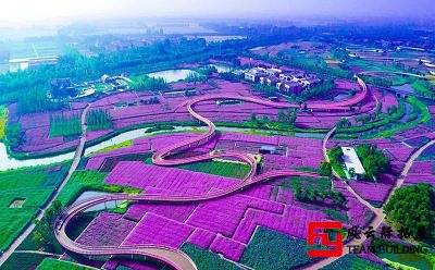 三台山国家森林公园+项王故里团