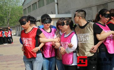 公司野外拓展训练活动心得500字-1500字五篇