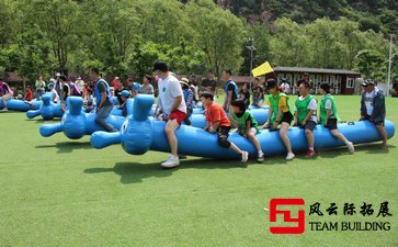 拓展训练心得体会优秀范文800字-1500字五篇