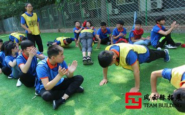 团队素质拓展心得体会500字-1500字五篇