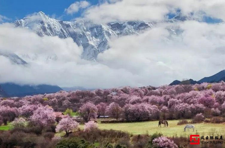 国内旅行团建