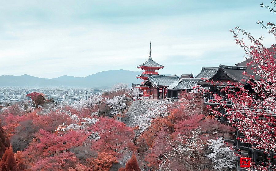 京都清水寺